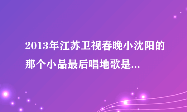 2013年江苏卫视春晚小沈阳的那个小品最后唱地歌是什么歌名