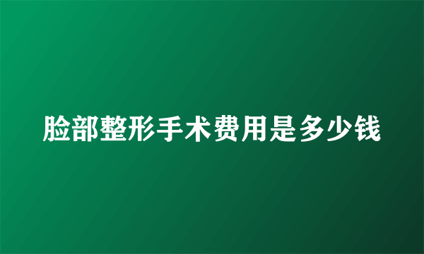 脸部整形手术费用是多少钱