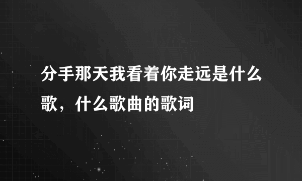 分手那天我看着你走远是什么歌，什么歌曲的歌词