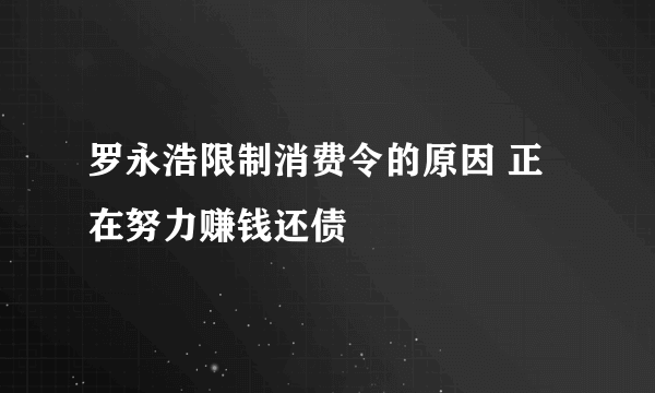 罗永浩限制消费令的原因 正在努力赚钱还债