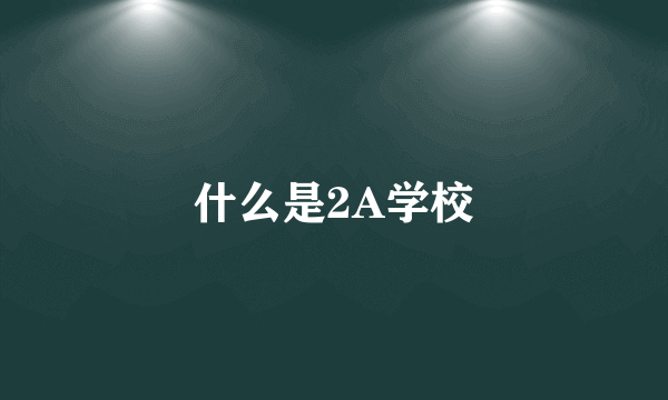 什么是2A学校