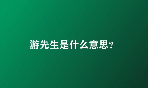 游先生是什么意思？