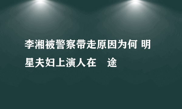 李湘被警察带走原因为何 明星夫妇上演人在囧途