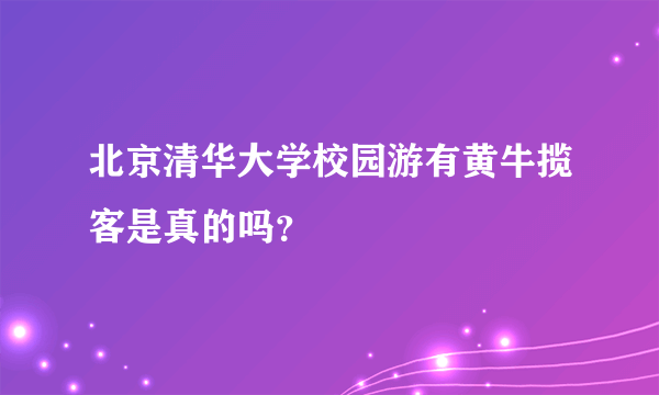 北京清华大学校园游有黄牛揽客是真的吗？