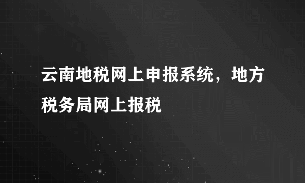 云南地税网上申报系统，地方税务局网上报税