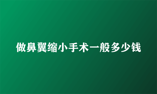 做鼻翼缩小手术一般多少钱