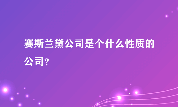 赛斯兰黛公司是个什么性质的公司？