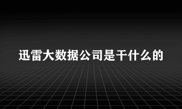 迅雷大数据公司是干什么的