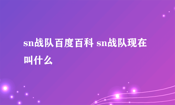 sn战队百度百科 sn战队现在叫什么