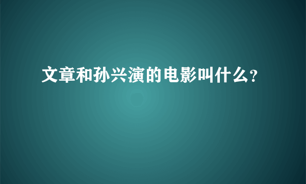 文章和孙兴演的电影叫什么？