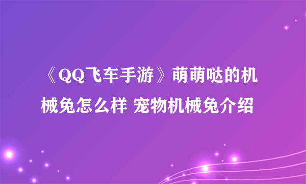 《QQ飞车手游》萌萌哒的机械兔怎么样 宠物机械兔介绍