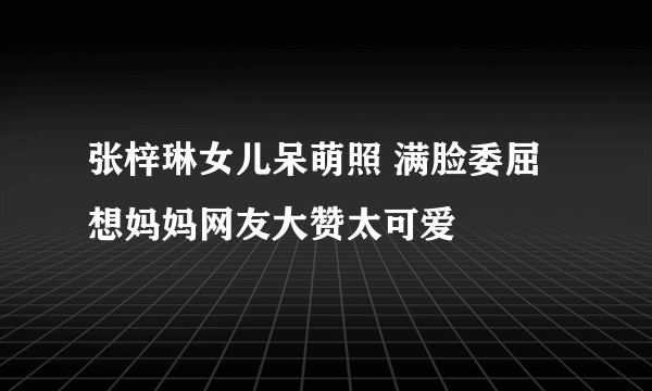 张梓琳女儿呆萌照 满脸委屈想妈妈网友大赞太可爱