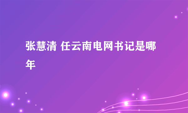 张慧清 任云南电网书记是哪年