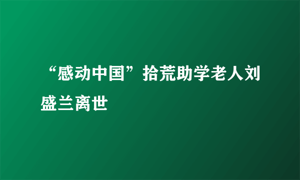 “感动中国”拾荒助学老人刘盛兰离世