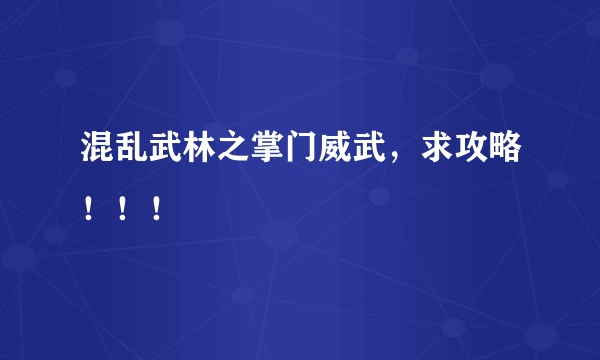 混乱武林之掌门威武，求攻略！！！