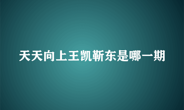 天天向上王凯靳东是哪一期