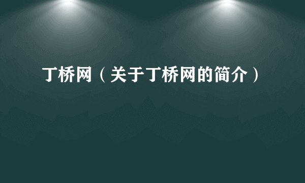 丁桥网（关于丁桥网的简介）