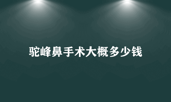 驼峰鼻手术大概多少钱