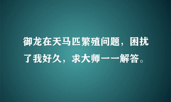 御龙在天马匹繁殖问题，困扰了我好久，求大师一一解答。