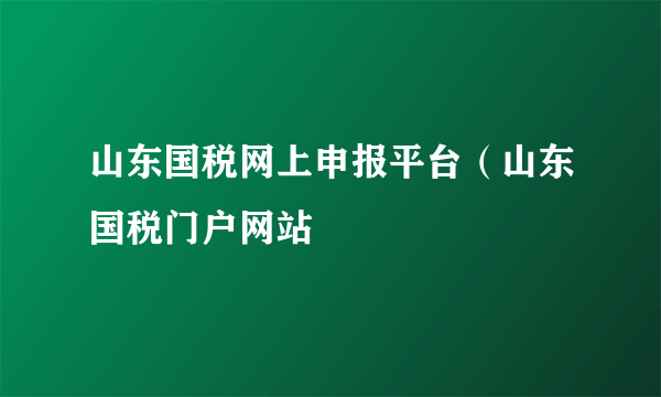 山东国税网上申报平台（山东国税门户网站