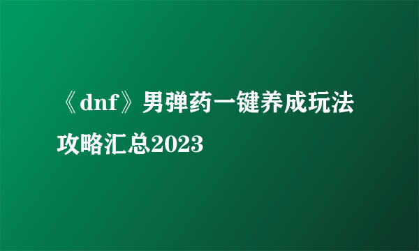 《dnf》男弹药一键养成玩法攻略汇总2023