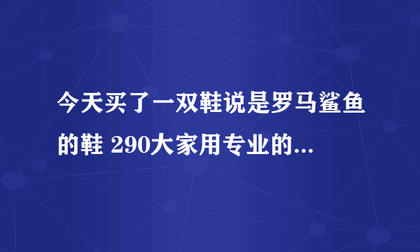 今天买了一双鞋说是罗马鲨鱼的鞋 290大家用专业的眼光帮我看看这鞋子怎么样呀