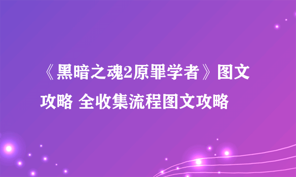 《黑暗之魂2原罪学者》图文攻略 全收集流程图文攻略