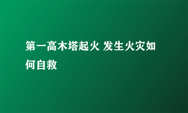 第一高木塔起火 发生火灾如何自救