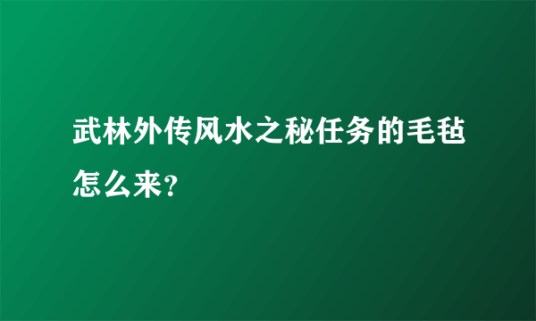 武林外传风水之秘任务的毛毡怎么来？