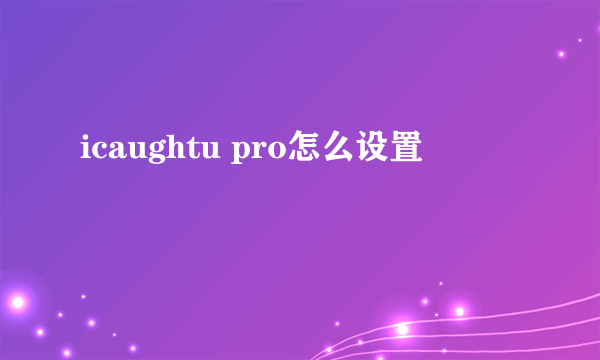 icaughtu pro怎么设置