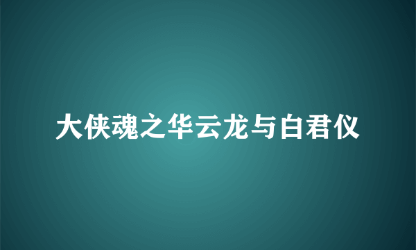 大侠魂之华云龙与白君仪