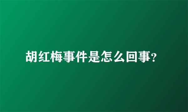 胡红梅事件是怎么回事？