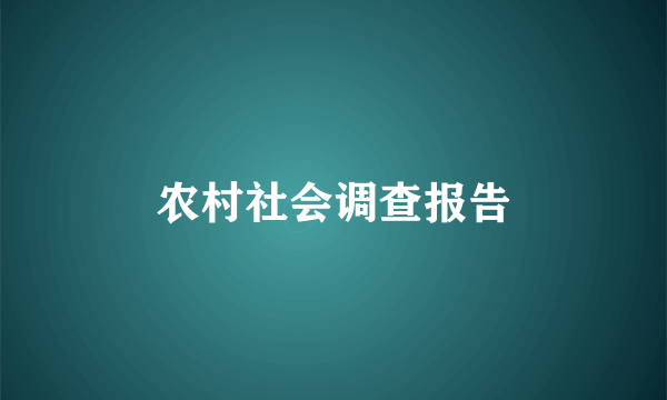 农村社会调查报告