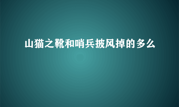 山猫之靴和哨兵披风掉的多么