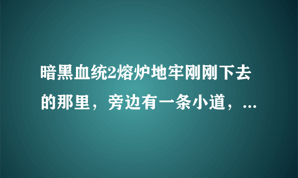 暗黑血统2熔炉地牢刚刚下去的那里，旁边有一条小道，但是有三道栏杆挡着，要怎么打开呢？我郁闷中···