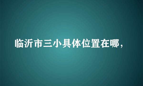 临沂市三小具体位置在哪，