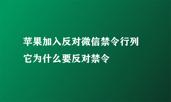 苹果加入反对微信禁令行列 它为什么要反对禁令