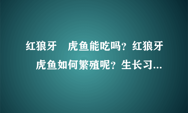 红狼牙鰕虎鱼能吃吗？红狼牙鰕虎鱼如何繁殖呢？生长习性是什么样子的？