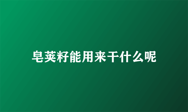 皂荚籽能用来干什么呢