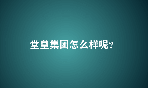 堂皇集团怎么样呢？