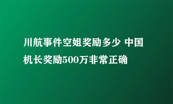 川航事件空姐奖励多少 中国机长奖励500万非常正确