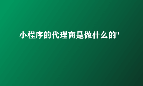 小程序的代理商是做什么的