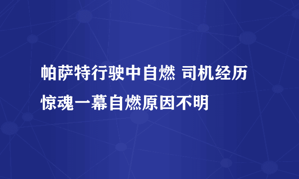 帕萨特行驶中自燃 司机经历惊魂一幕自燃原因不明