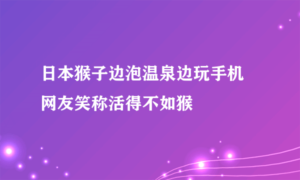 日本猴子边泡温泉边玩手机 网友笑称活得不如猴