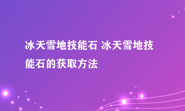 冰天雪地技能石 冰天雪地技能石的获取方法