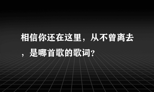 相信你还在这里，从不曾离去，是哪首歌的歌词？