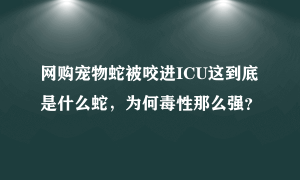 网购宠物蛇被咬进ICU这到底是什么蛇，为何毒性那么强？