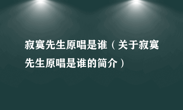 寂寞先生原唱是谁（关于寂寞先生原唱是谁的简介）