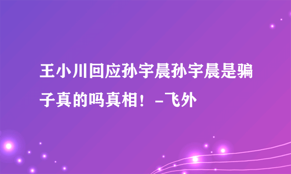 王小川回应孙宇晨孙宇晨是骗子真的吗真相！-飞外