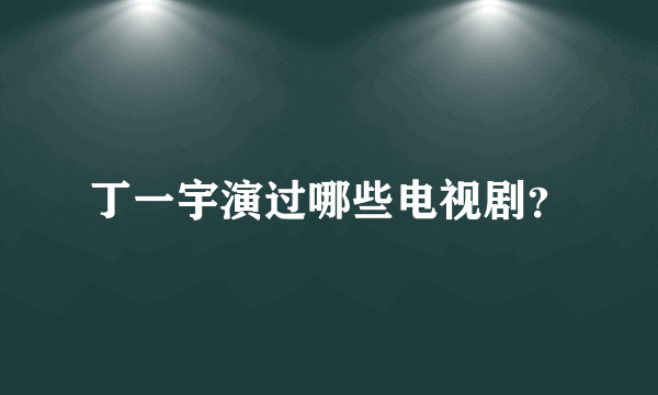 丁一宇演过哪些电视剧？